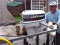 Johnson 30hk