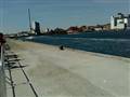 Horsens havn 30-5-09