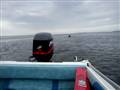 Kneeboard i vildsund 